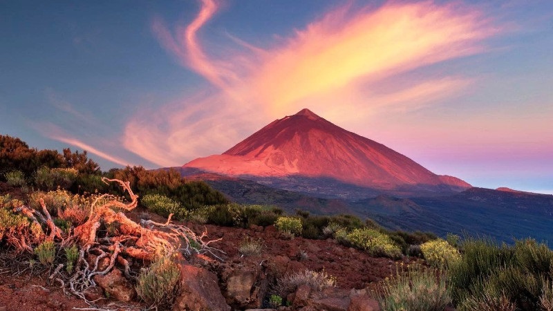 Kanarieöarna & Madeira